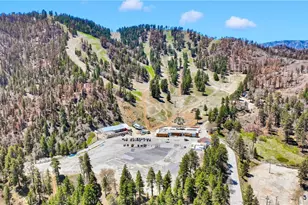 5744 Heath Creek Dr, Wrightwood, CA 92397 - Photo 44