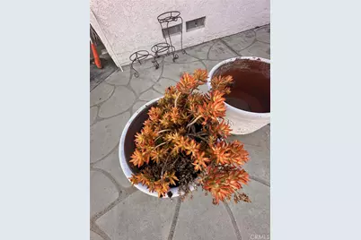 18090 Iris Avenue, Riverside, CA 92508 - Photo 38