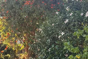 18090 Iris Ave, Riverside, CA 92508 - Photo 40