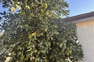 18090 Iris Ave, Riverside, CA 92508 - Photo 34