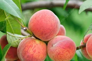 1441 Paso Real Ave, Rowland Heights, CA 91748 - Photo 14