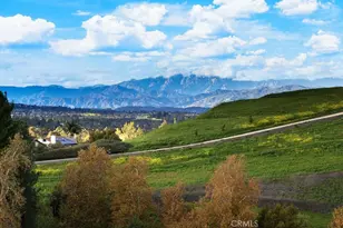 16224 Cordovan Ct, Chino Hills, CA 91709 - Photo 48