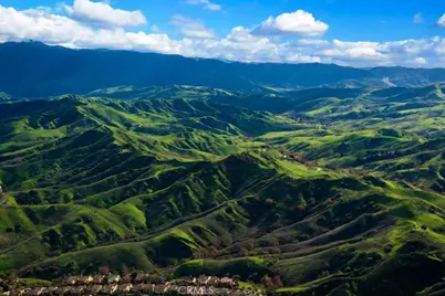 16224 Cordovan Court, Chino Hills, CA 91709 - Photo 66