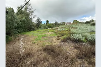 707 Dorothea, La Habra Heights, CA 90631 - Photo 6