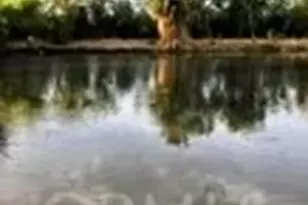 38898 Valley Center Rd, Newberry Springs, CA 92365 - Photo 14