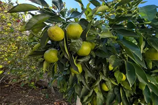 1945 Cumberland, West Covina, CA 91792 - Photo 40