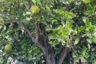 7863 Iroquois, Fontana, CA 92336 - Photo 54