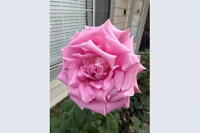 7863 Iroquois, Fontana, CA 92336 - Photo 58