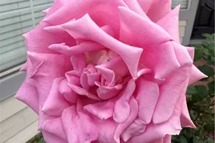 7863 Iroquois, Fontana, CA 92336 - Photo 58