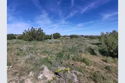 0 Yucca Terrace Drive, Phelan, CA 92371 - Photo 8