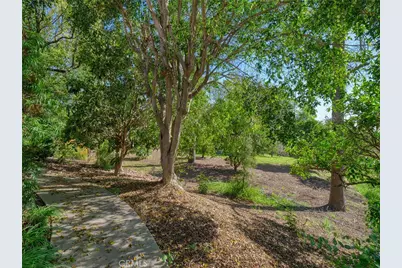 1435 Subtropic Drive, La Habra Heights, CA 90631 - Photo 68