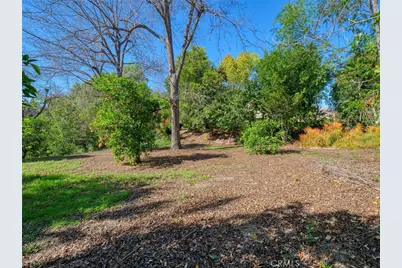 1435 Subtropic Drive, La Habra Heights, CA 90631 - Photo 64