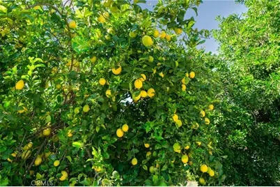 1725 S Elderberry, Ontario, CA 91762 - Photo 38