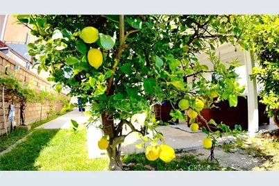 6 Skyline, Phillips Ranch, CA 91766 - Photo 58