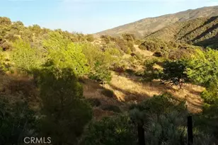 9301 Lost Valley Rd, Leona Valley, CA 93551 - Photo 36