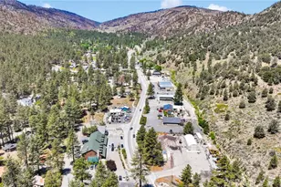 2054 E Canyon, Wrightwood, CA 92397 - Photo 46