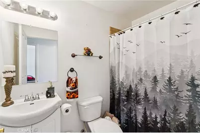 879 Spruce Lane, Sugarloaf, CA 92386 - Photo 22