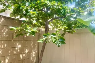 1224 S Cabernet Circle, Anaheim, CA 92804 - Photo 26