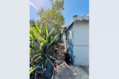 2630 Maceo Street, Los Angeles, CA 90065 - Photo 8
