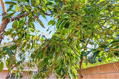 1725 3rd, La Verne, CA 91750 - Photo 46