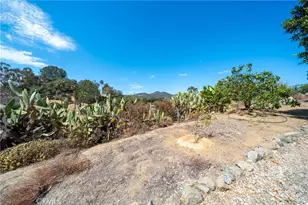 1463 Oak View Way, Escondido, CA 92029 - Photo 42