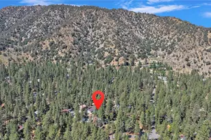 1600 Laura, Wrightwood, CA 92397 - Photo 46