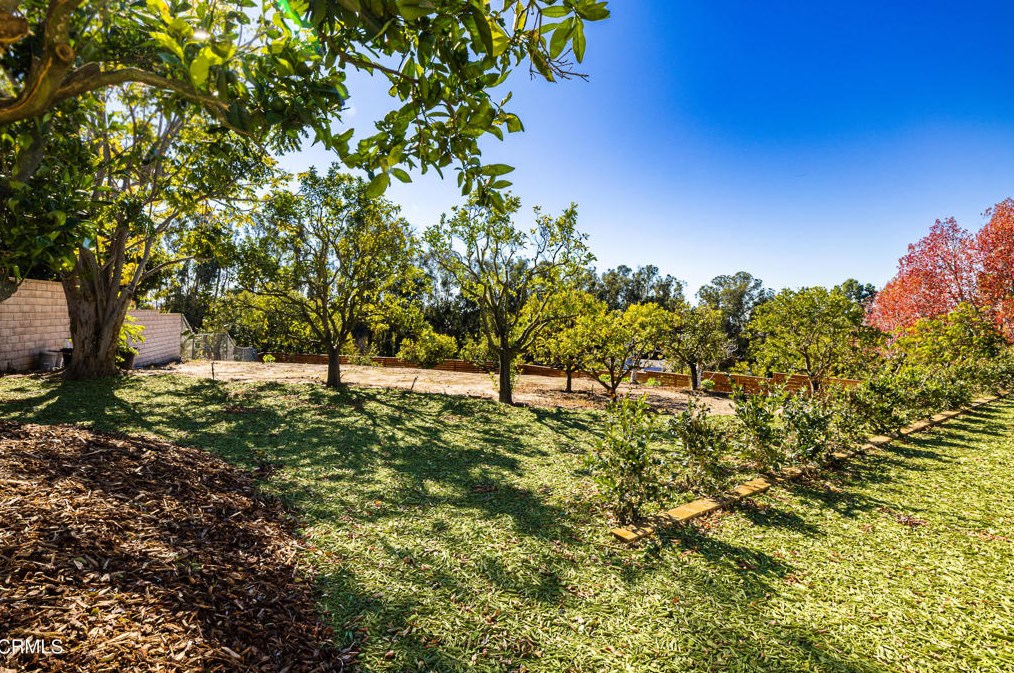 1226 Calle Aurora, Camarillo CA  93010-8438 exterior