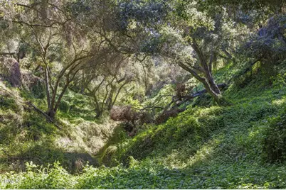 4620 Casitas Pass Road, Ventura, CA 93001 - Photo 8