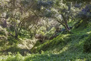 4620 Casitas Pass Rd, Ventura, CA 93001 - Photo 8