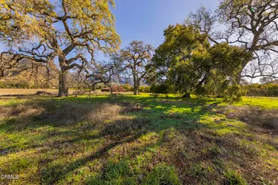 1201 Grand Avenue, Ojai, CA 93023 - Photo 6