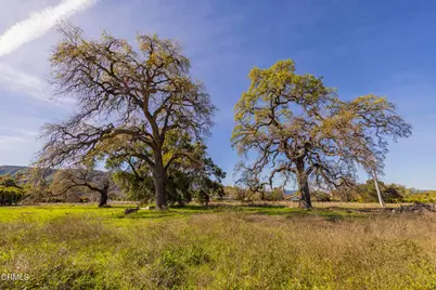 1201 Grand Avenue, Ojai, CA 93023 - Photo 14