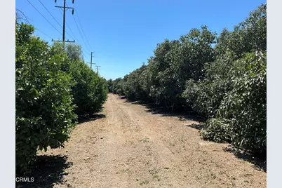 7907 Balcom Canyon Road, Somis, CA 93066 - Photo 18