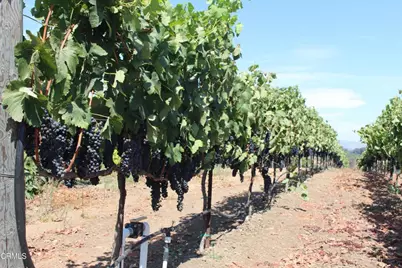 6150 Baja Vista Drive, Somis, CA 93066 - Photo 52