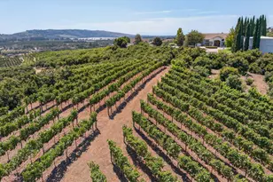 6150 Baja Vista Dr, Somis, CA 93066 - Photo 8