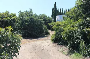 6150 Baja Vista Dr, Somis, CA 93066 - Photo 60