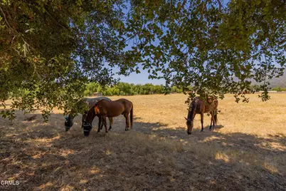 162 S La Luna Avenue, Ojai, CA 93023 - Photo 30