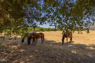 162 S La Luna Ave, Ojai, CA 93023 - Photo 30