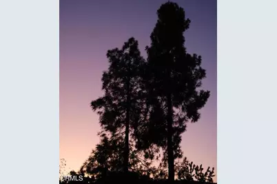 159 Burnham Road, Oak View, CA 93022 - Photo 64