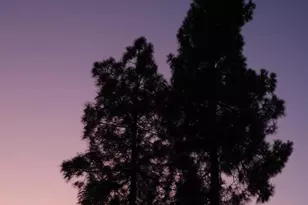 159 Burnham Rd, Oak View, CA 93022 - Photo 64