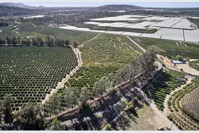 4363 Sand Canyon Road, Somis, CA 93066 - Photo 14