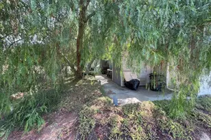 34853 Palgrave Rd, Acton, CA 93510 - Photo 48