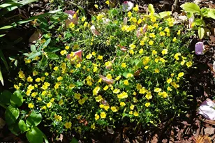 4388 E Central Ave, Camarillo, CA 93010 - Photo 32