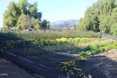 1672 E Los Angeles Avenue, Somis, CA 93066 - Photo 12