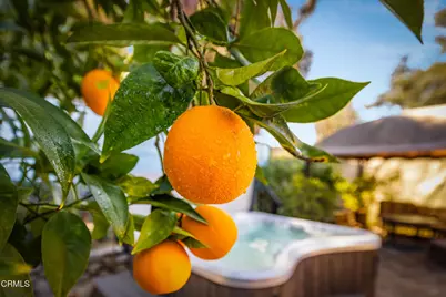 11604 N Ventura Avenue, Ojai, CA 93023 - Photo 12