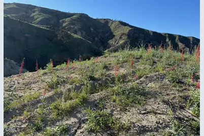 31029 Hasley Canyon Road, Castaic, CA 91384 - Photo 2