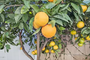 1327 Johnson Dr, Ventura, CA 93003 - Photo 28