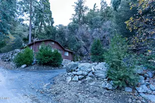 9320 Wood Rd, Forest Falls, CA 92339 - Photo 30