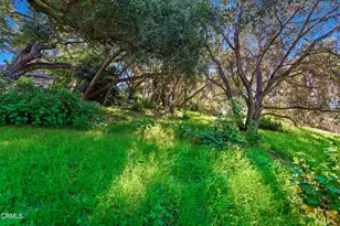 1400 Park Dr, Ojai, CA 93023 - Photo 46