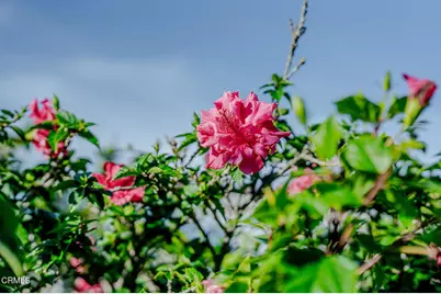 5124 Beachcomber Street, Oxnard, CA 93035 - Photo 40