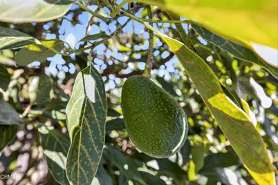 4457 Westmont Street, Ventura, CA 93003 - Photo 34